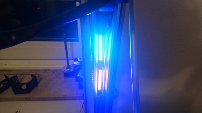 brightdot1