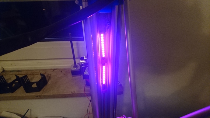brightdot4